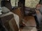 2024 Chevrolet Colorado Crew Cab Short Box 2-Wheel Drive Work Truck