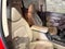 2020 GMC Canyon Crew Cab Short Box 4-Wheel Drive SLT