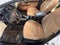 2016 Hyundai ELANTRA 4Dr Sdn Auto Value Edition