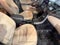 2016 Hyundai ELANTRA 4Dr Sdn Auto Value Edition