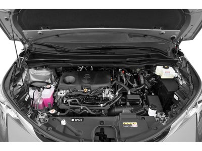 2021 Toyota Sienna Platinum FWD 7-Passenger (Natl)
