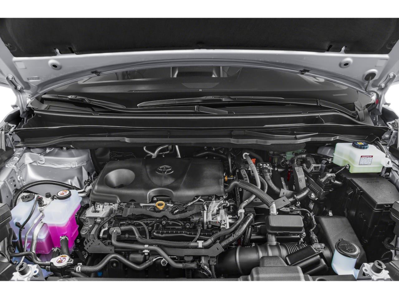 2021 Toyota Sienna XLE FWD 7-Passenger (Natl)