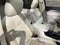 2021 Buick Envision AWD 4dr Avenir